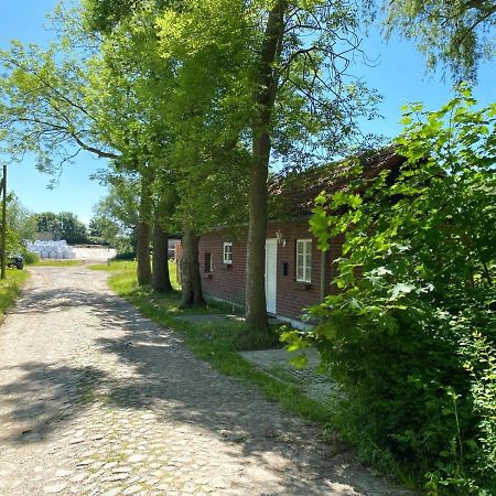 Hofgut Bisdamitz - Ferienhaus "Knoff" Exteriör bild