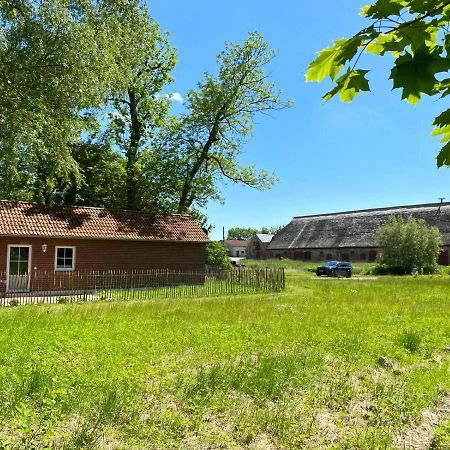 Hofgut Bisdamitz - Ferienhaus "Knoff" Exteriör bild