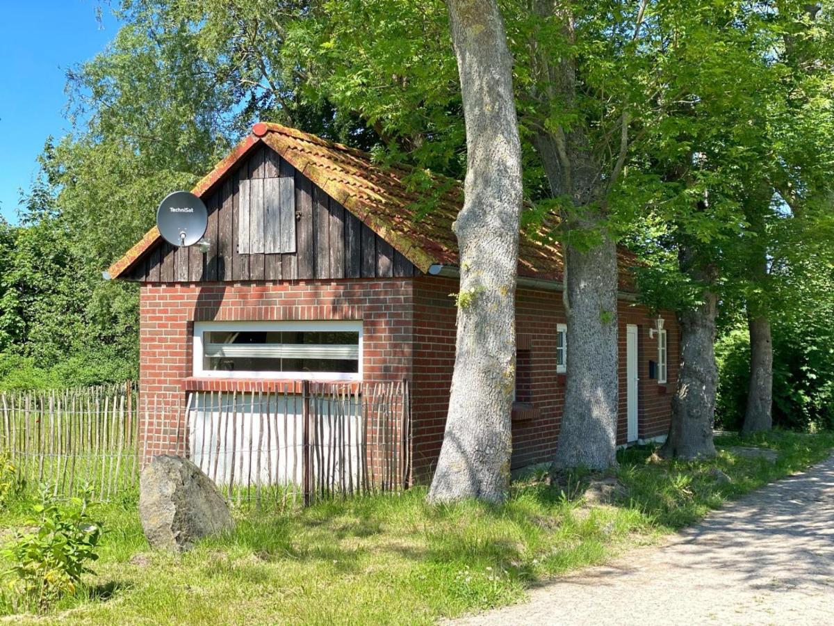 Hofgut Bisdamitz - Ferienhaus "Knoff" Exteriör bild