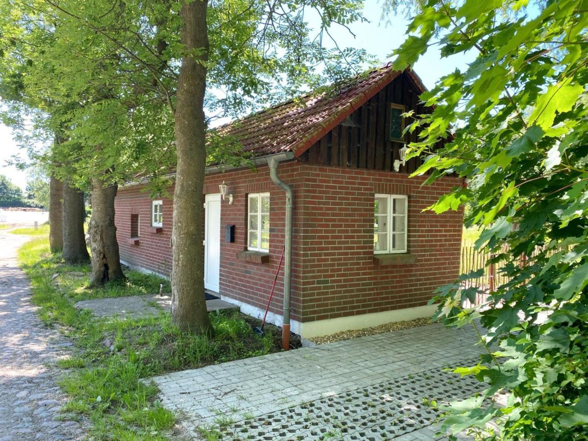 Hofgut Bisdamitz - Ferienhaus "Knoff" Exteriör bild