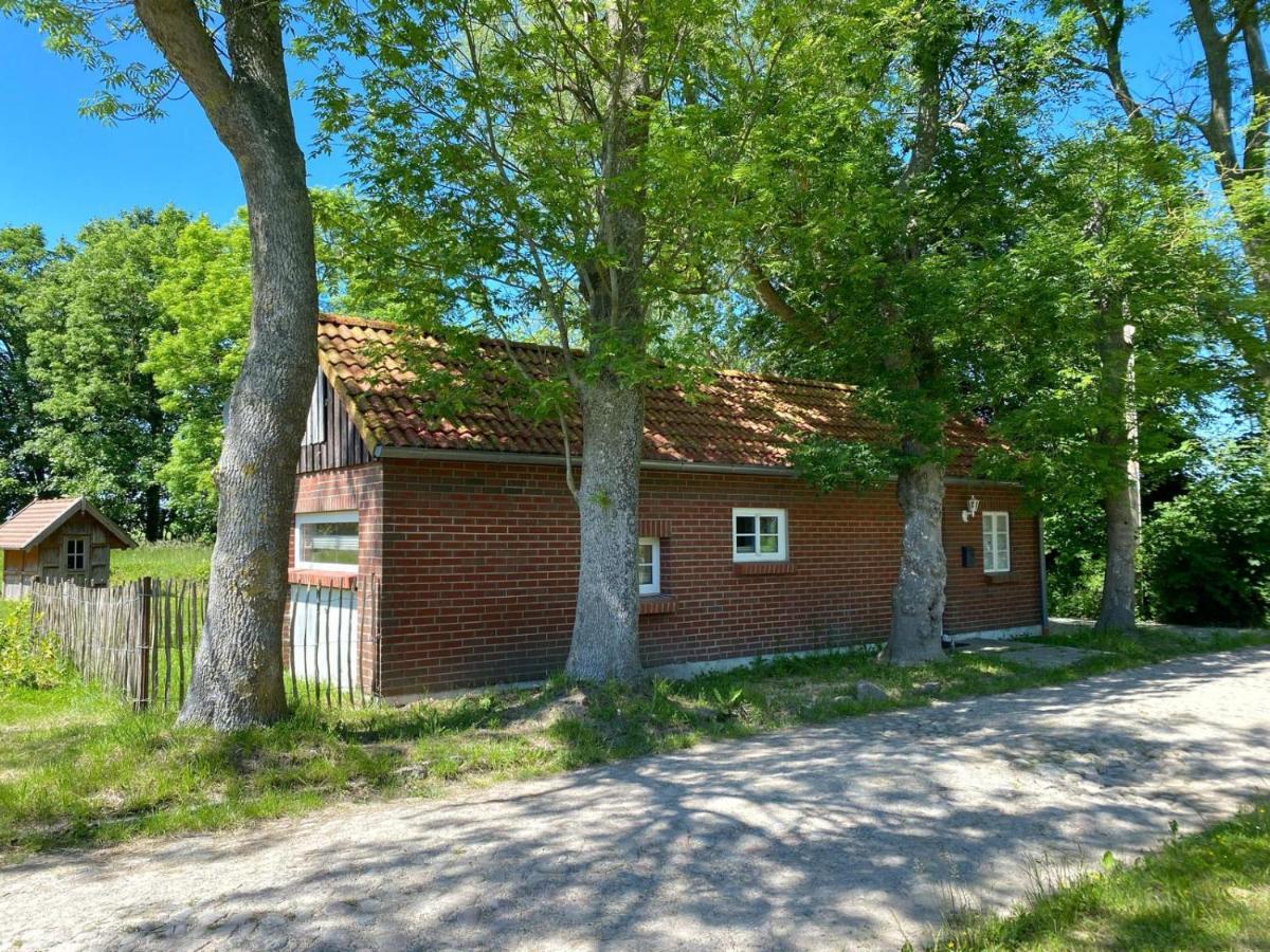 Hofgut Bisdamitz - Ferienhaus "Knoff" Exteriör bild